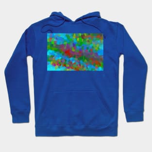 Designer 126642 x125 Hoodie